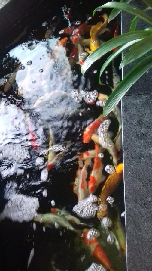 Hotel Khach San Hiep Yen Tuy Hòa Zewnętrze zdjęcie